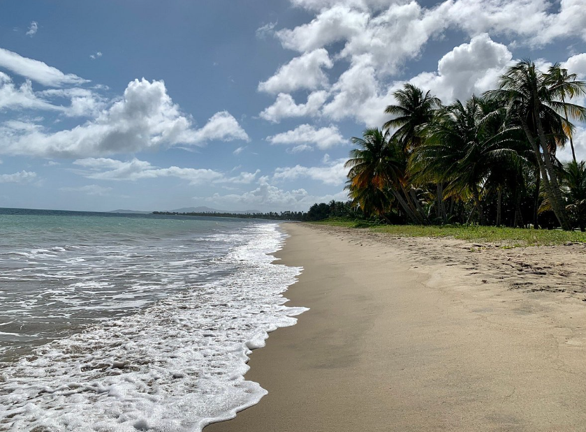 Tropical Beach Naguabo, , Puerto Rico